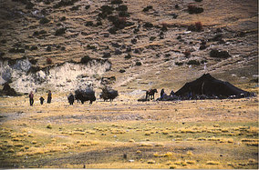 Jurte vor Lhasa