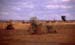 03_dorf1