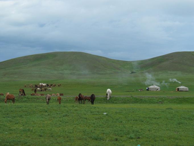 Landschaft der Mongolei